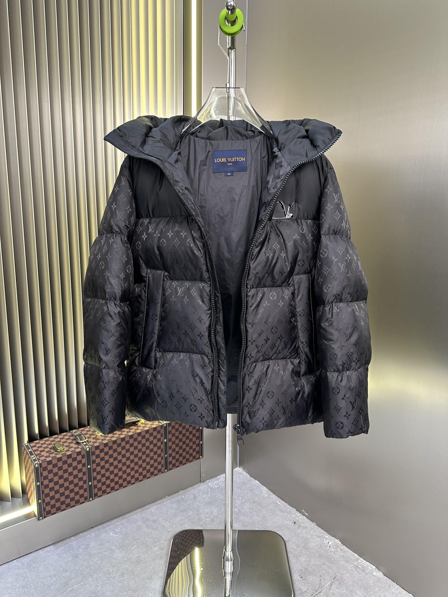 Louis Vuitton Down Jackets